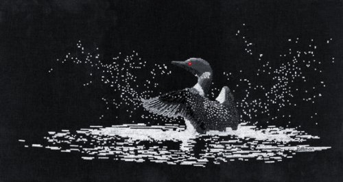 (image for) Northern Lights (Common Loon)